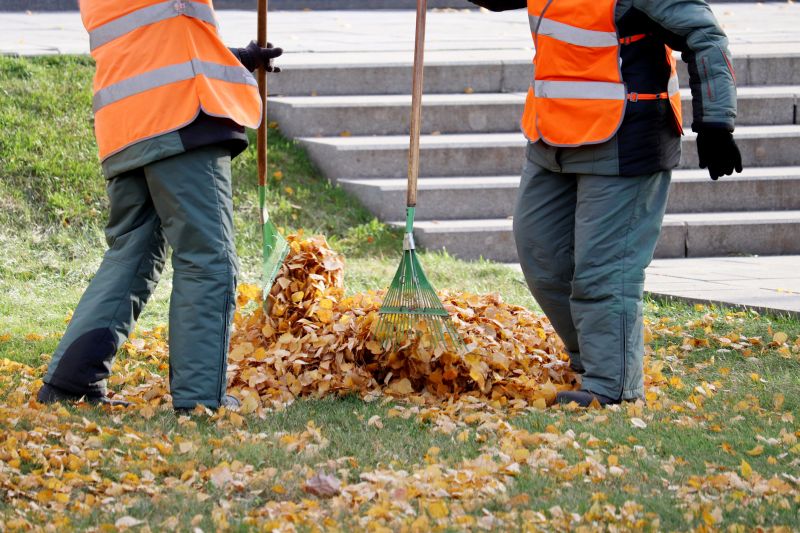 Leaf Raking Service detail