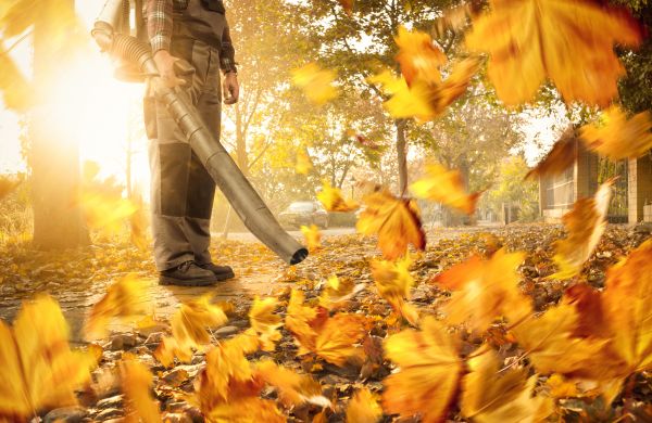 Leaf Blowing Service in Corona