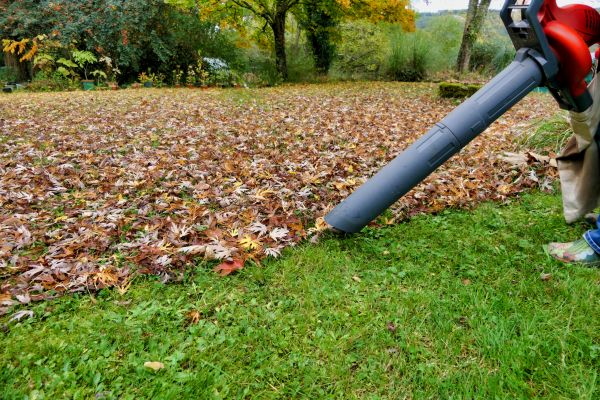Leaf Vacuuming Service in Corona