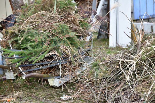 Yard Debris Removal in Corona