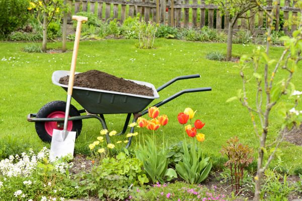 Cost of Spring Yard Cleanup in Corona