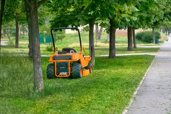 Landscaping Cleanup Service in Corona