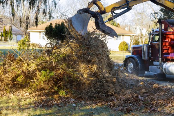 Storm Debris Removal in Corona