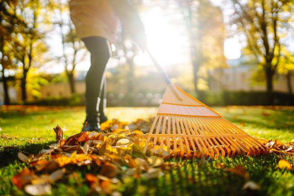 Leaves Raking in Corona
