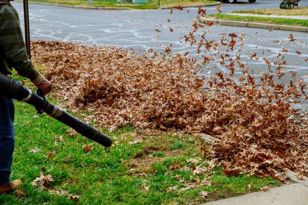 Cost of Garden Leaf Removal in Corona