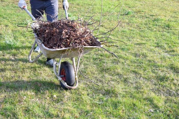 Yard Brush Removal in Corona