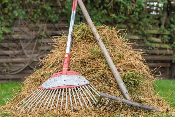 Cost of Pine Straw Clearing in Corona