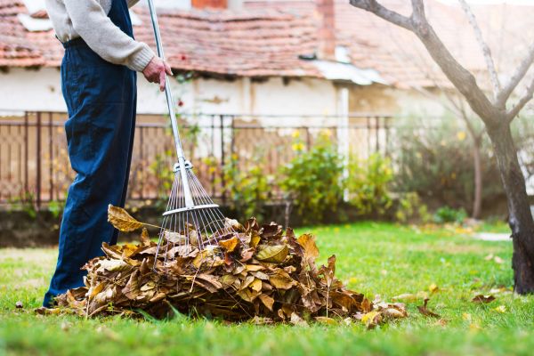 Spring Lawn Cleanup in Corona