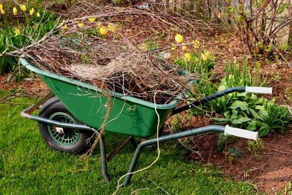 Lawn Waste Removal in Corona