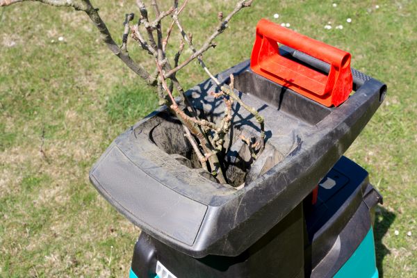 Brush Cleanup Service in Corona