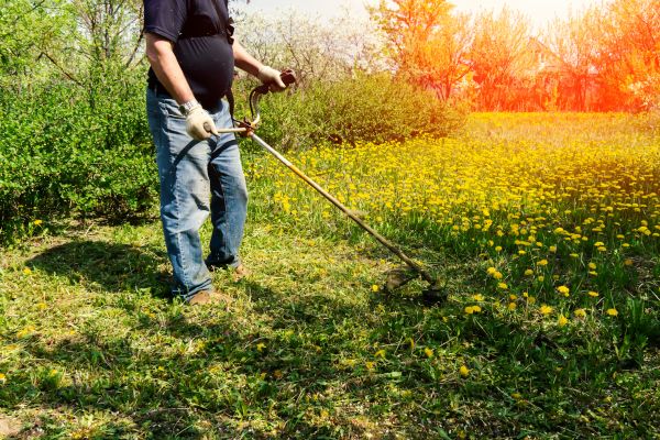 Cost of Yard Clearing Service in Corona