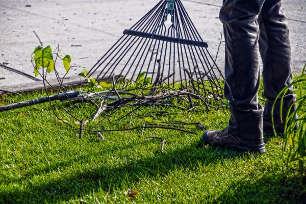 Yard Debris Cleanup in Corona